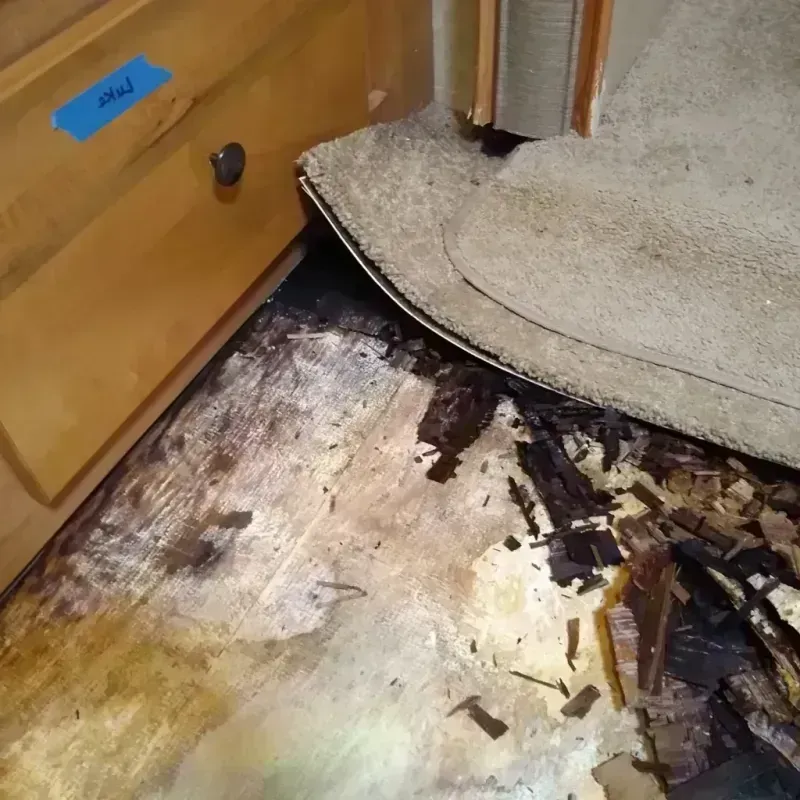 Best Wood Floor Water Damage Service in Mount Airy, MD